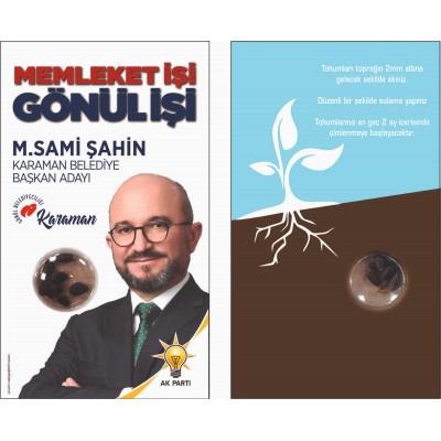 KARIŞIK KIR ÇİÇEĞİ TOHUMLARI